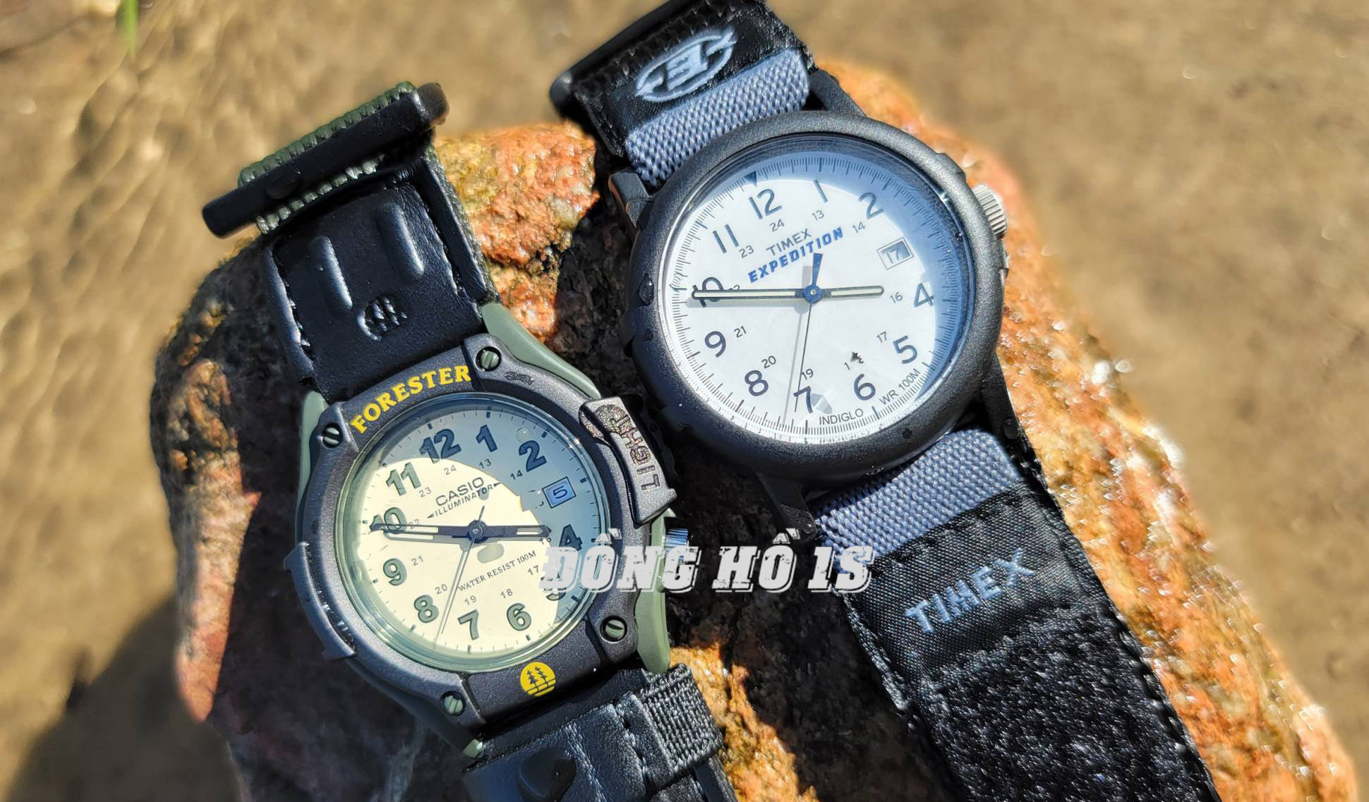 dong ho timex cua nuoc nao tat ca nhung gi can biet ve timex 1 copy