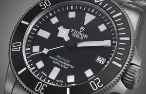 Tudor Pelagos (7)
