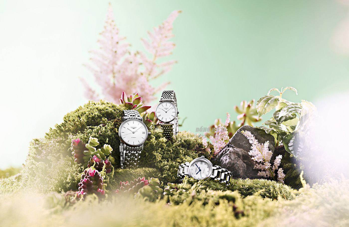 chiec dong ho longines nao phu hop voi ban nhat vao mua he (3)