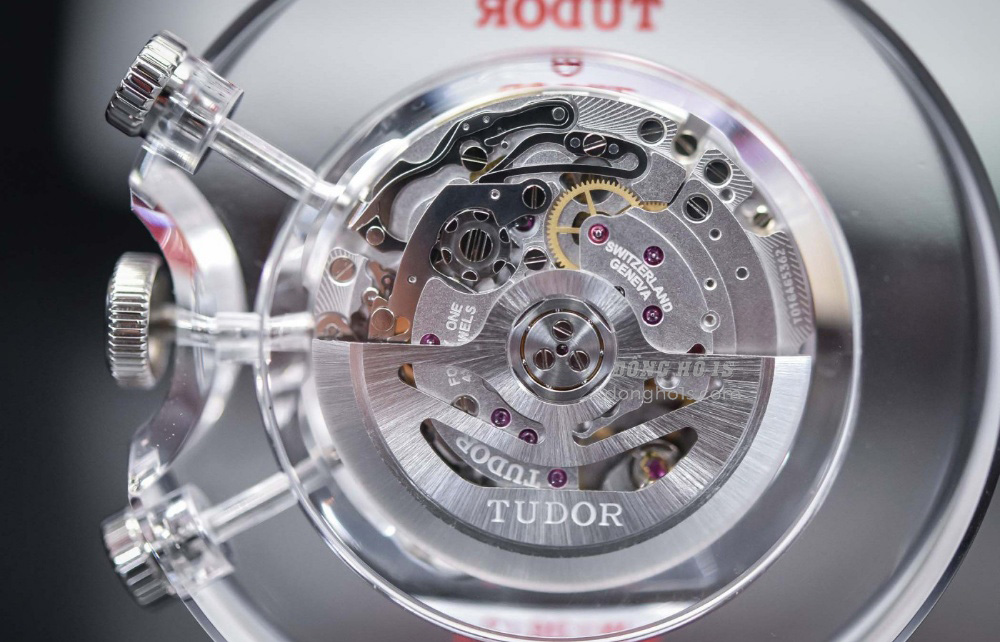 Tudor Black Bay M79360B 0002 (5)