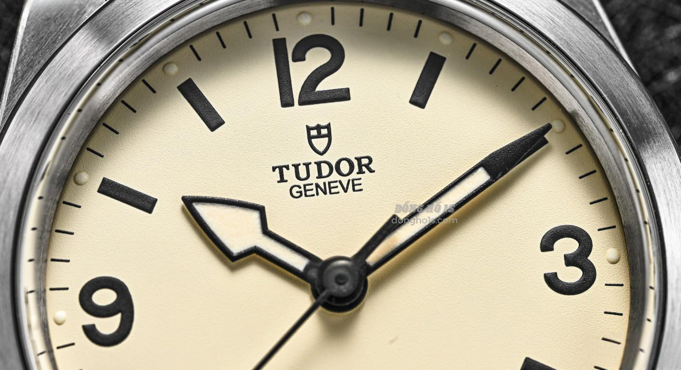 Tudor Ranger M79950 (1) Tudor Ranger M79950 (1)