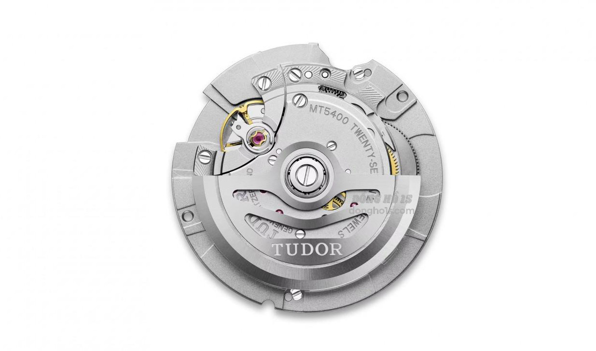 Tudor Ranger M79950 (4) Tudor Ranger M79950 (4)